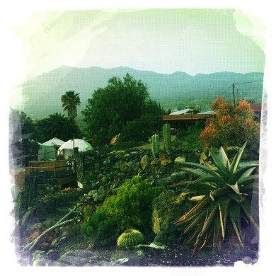 ASOCIACION MANANTIAL DE TARA